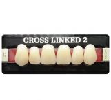 POLIDENT Cross Linked 2