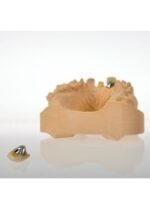 POLIDENT Univecast - Image 3