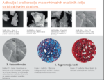 NORAKER Bioaktivno staklo - Image 3